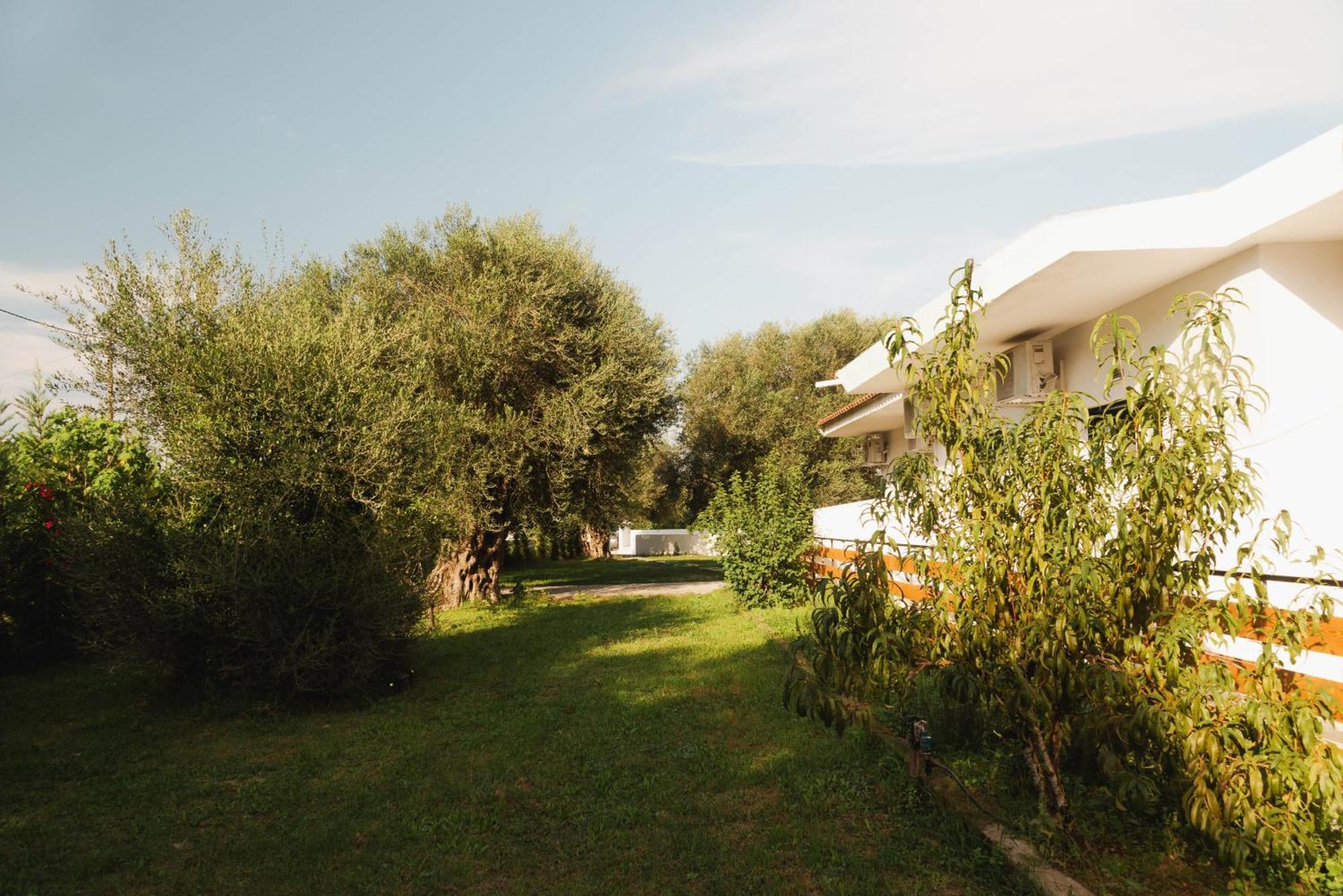 Olive Grove Suites Boutique Hotel Moraḯtika Exteriér fotografie