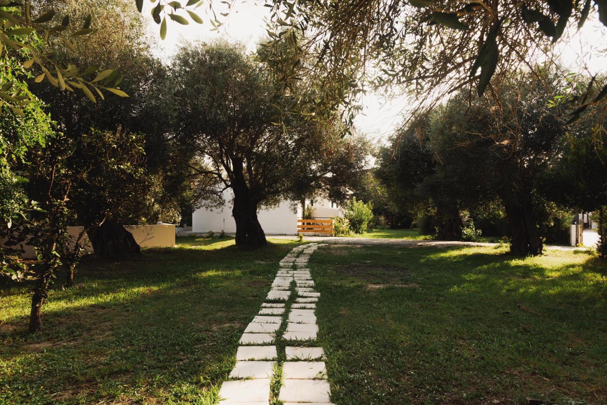 Olive Grove Suites Boutique Hotel Moraḯtika Exteriér fotografie