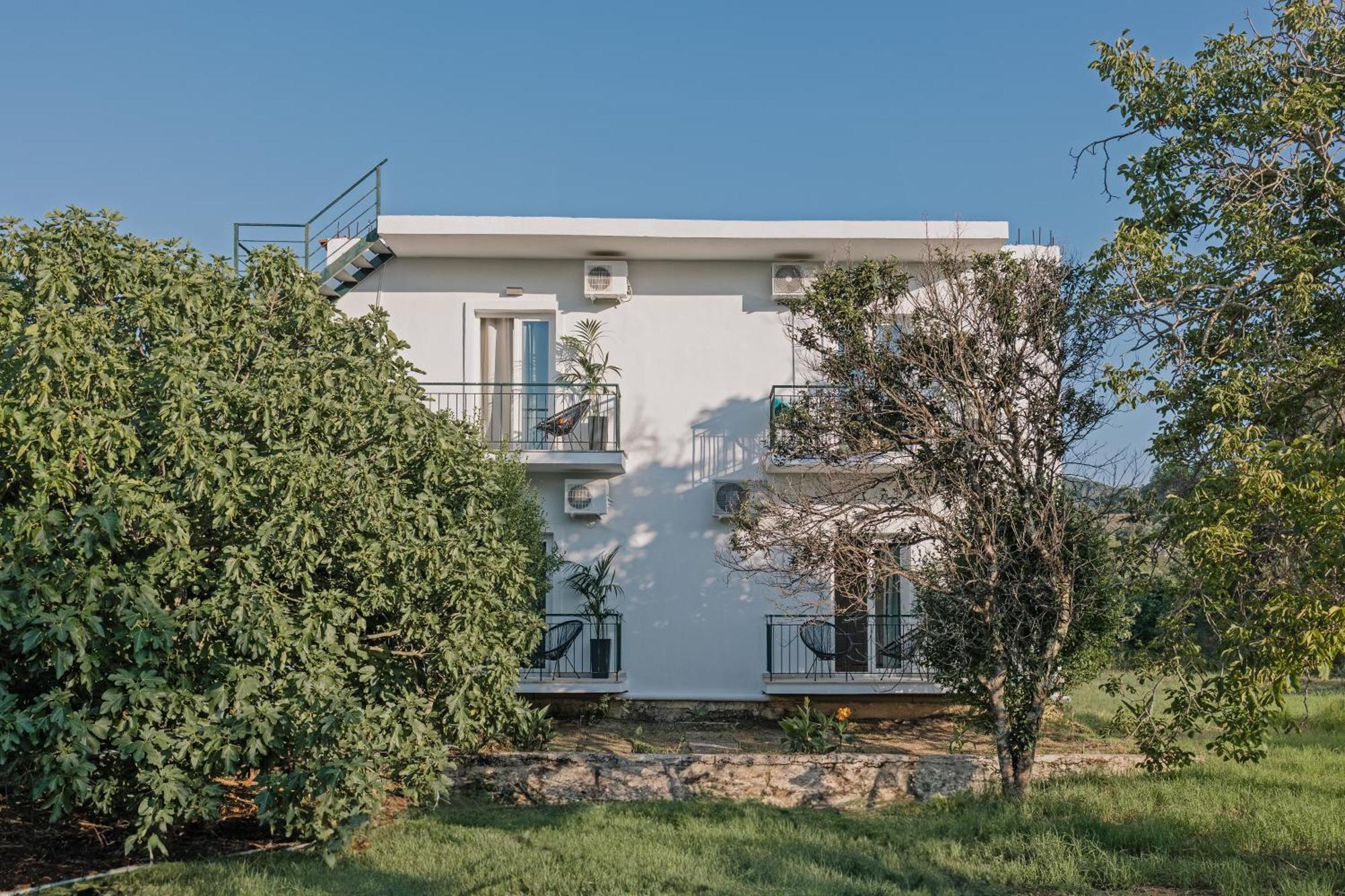 Olive Grove Suites Boutique Hotel Moraḯtika Exteriér fotografie